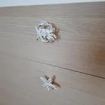 & Sea